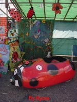Click to enlarge Coccinella 001.jpg
